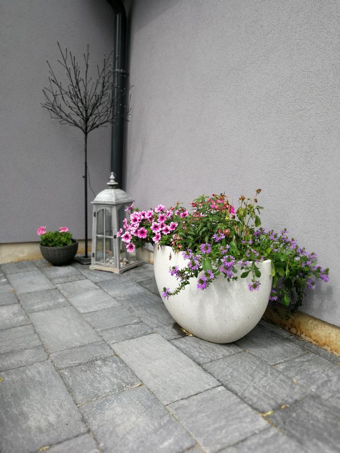 Zsinko Villa Печ Экстерьер фото